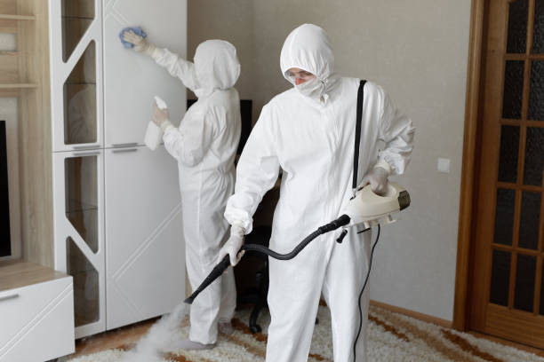 Best Industrial Mold Remediation  in Wyong, MI